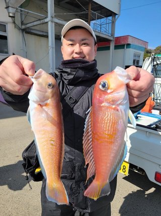 アマダイ