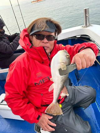 ショウサイフグ