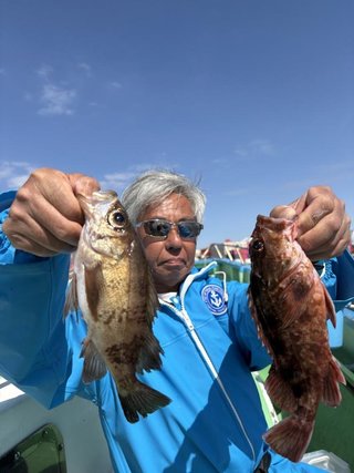 メバル