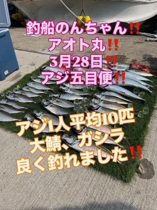 シロアマダイ