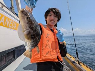 ショウサイフグ