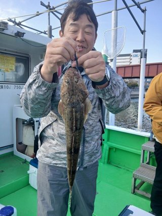マゴチ