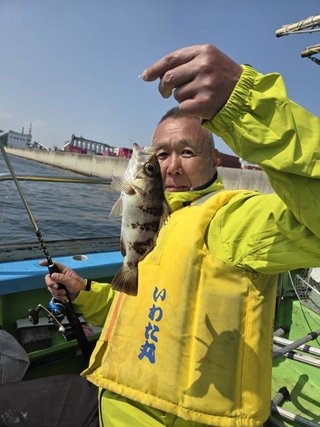 カサゴ