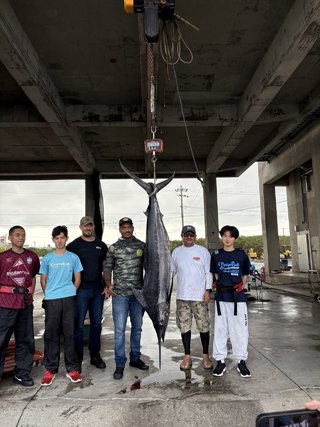 クロカワカジキ