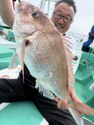 マダイ