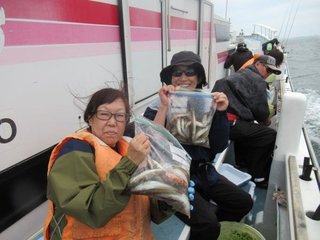 シロギス