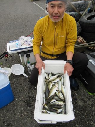 アジ