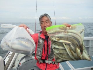 シロギス