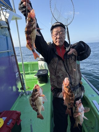 メバル