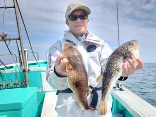 ショウサイフグ