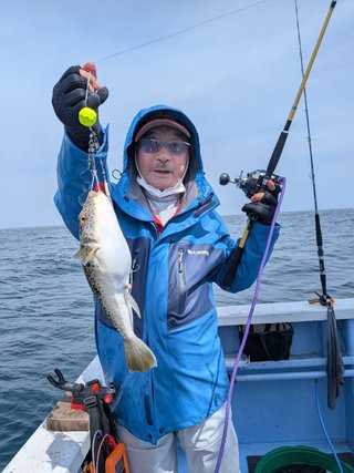 ショウサイフグ