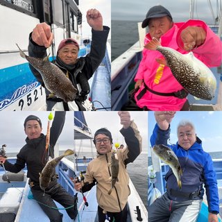 ショウサイフグ