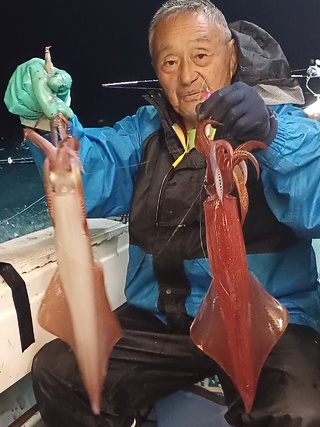 ヤリイカ