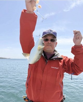 ショウサイフグ