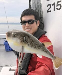 ショウサイフグ