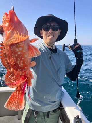 ウッカリカサゴ