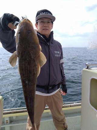 マゴチ