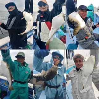 ショウサイフグ