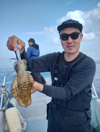 アオリ