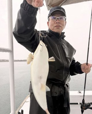 ショウサイフグ