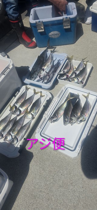 アジ