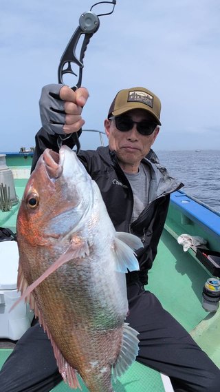 マダイ