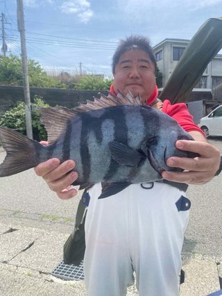 マダイ