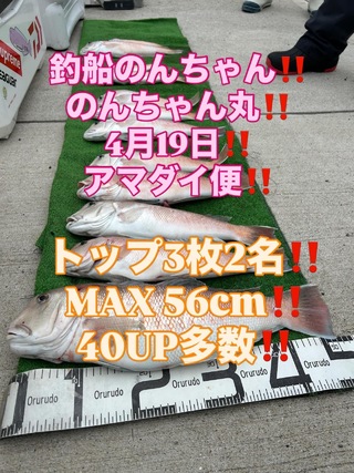 シロアマダイ