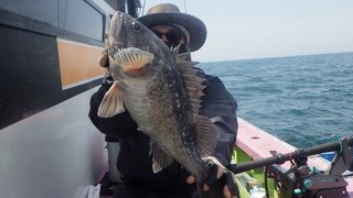 ウッカリカサゴ