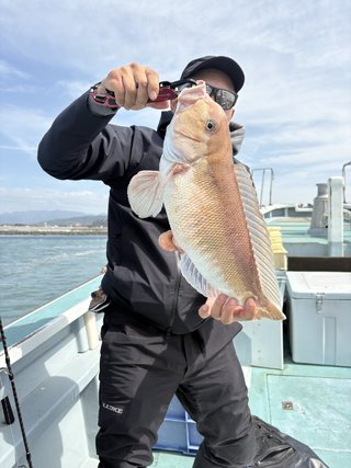 シロアマダイ