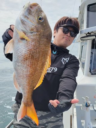 マダイ