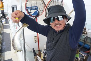 ショウサイフグ