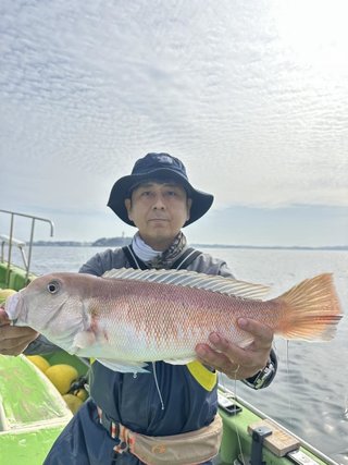 アマダイ