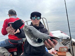 ショウサイフグ