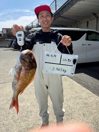 マダイ