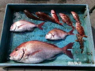 タイ