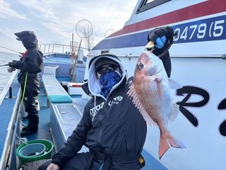マダイ
