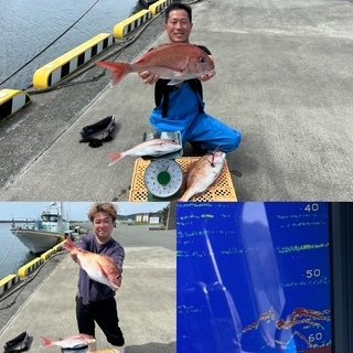 マダイ
