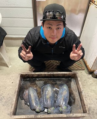 アオリイカ