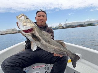 シーバス
