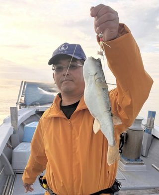 ショウサイフグ