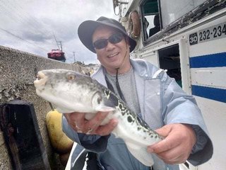 ショウサイフグ