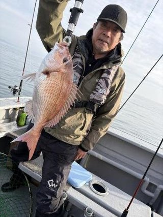 マダイ
