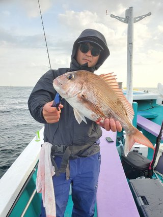 マダイ