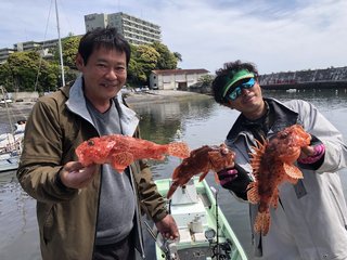 オニカサゴ
