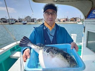 ショウサイフグ