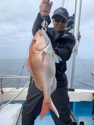 マダイ