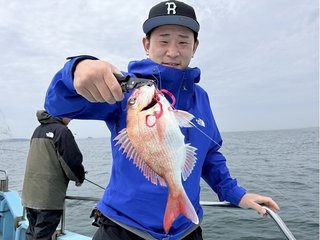 マダイ