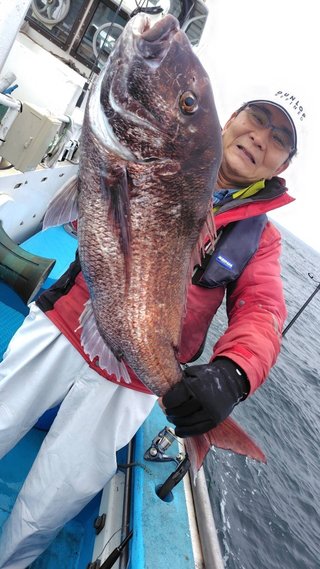 マダイ
