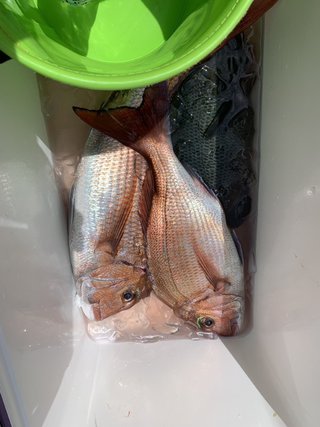 タイ